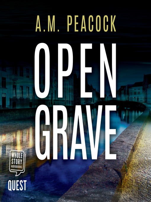 Cover image for Open Grave